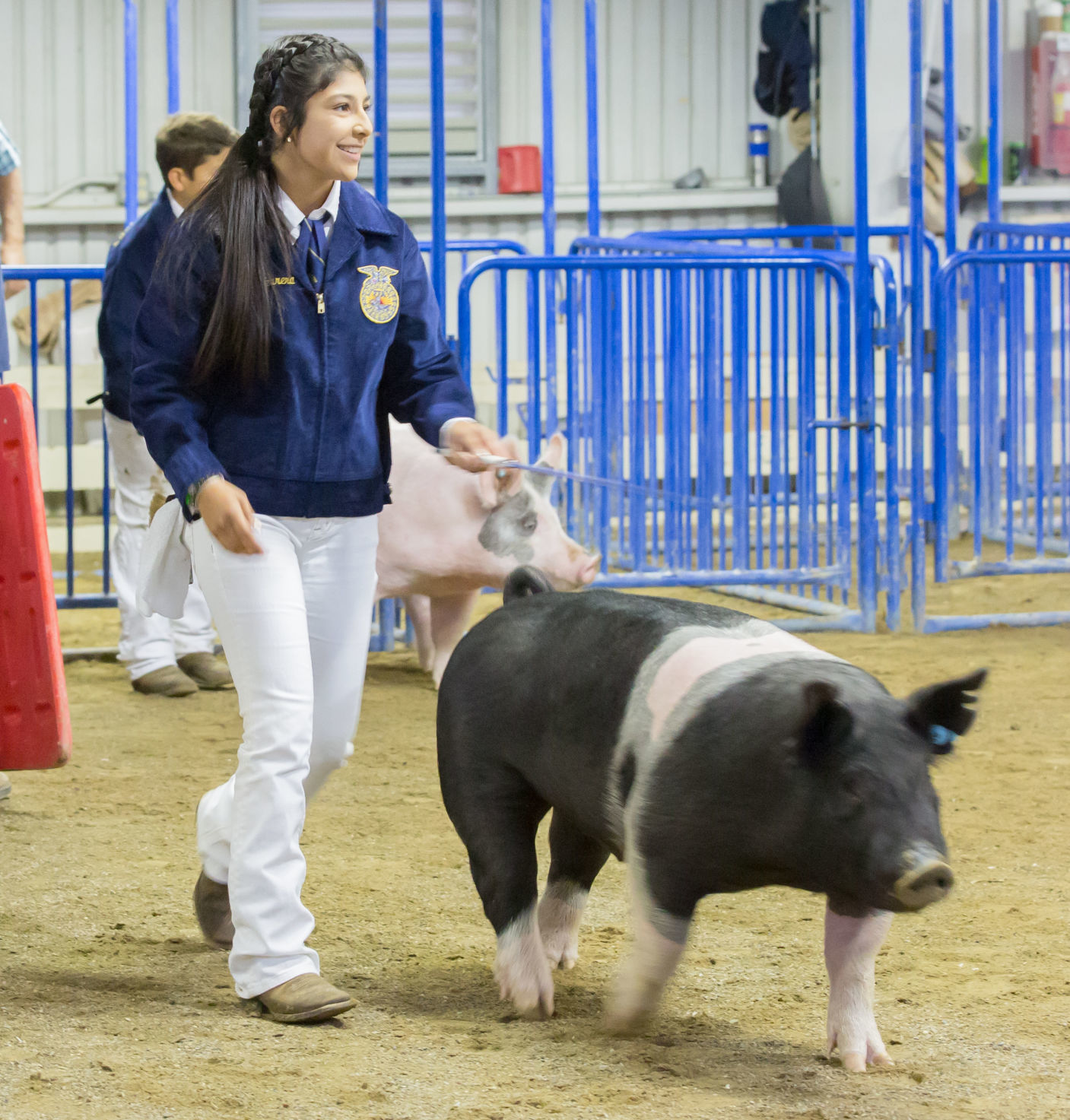 070919 SB Fair Animal Judging 07.jpg